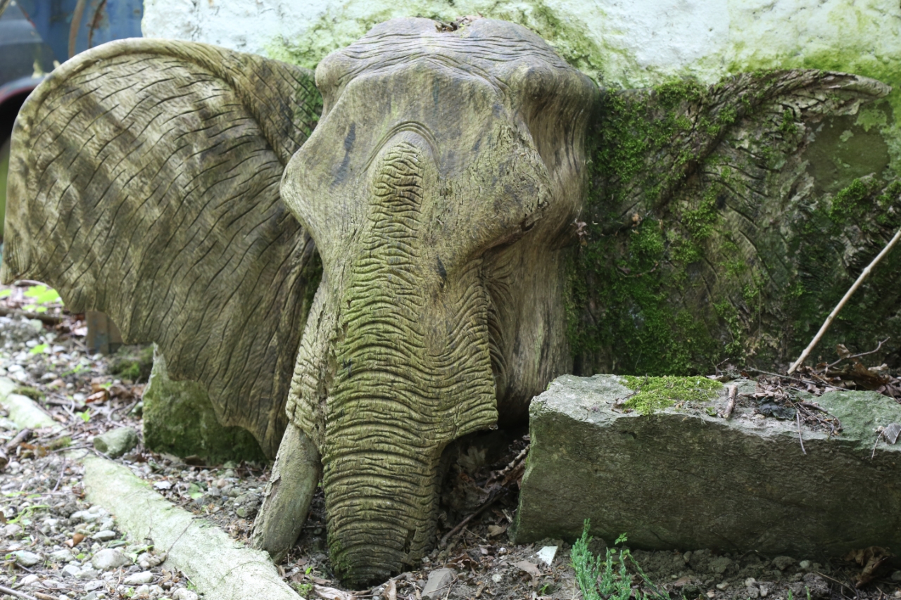 Autofriedhof Neandertal