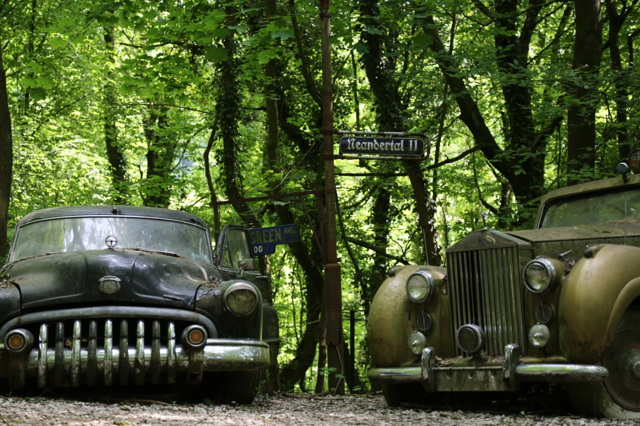 Autofriedhof Neandertal