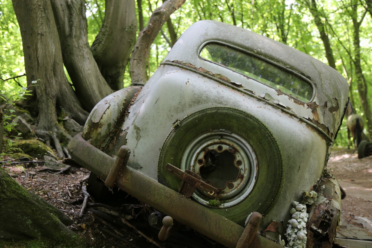 Autofriedhof Neandertal