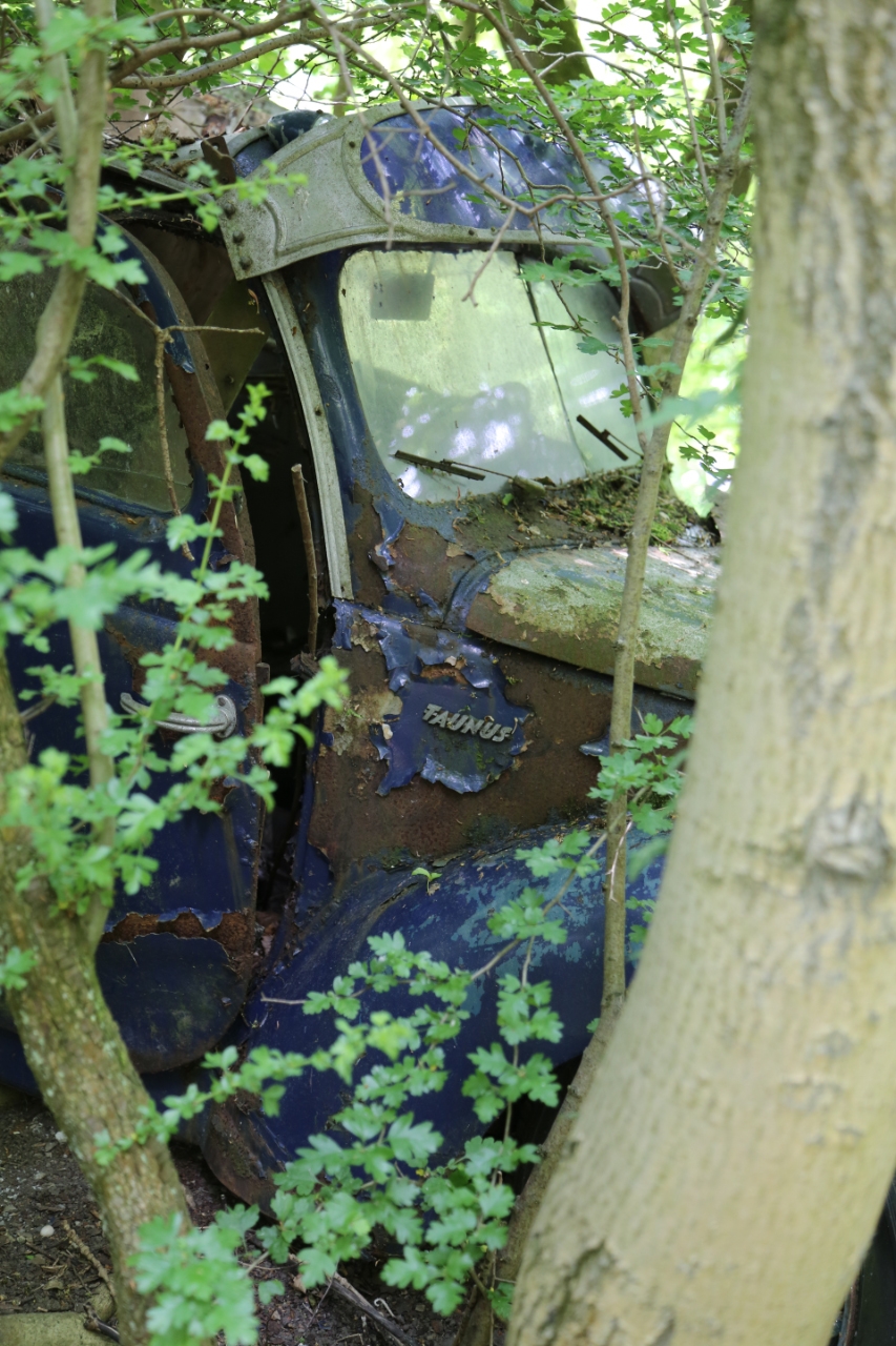 Autofriedhof Neandertal