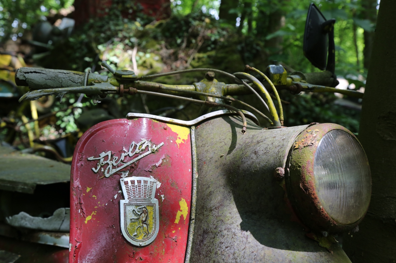 Autofriedhof Neandertal