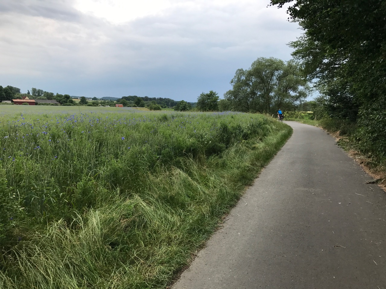 Ruhrtalradweg