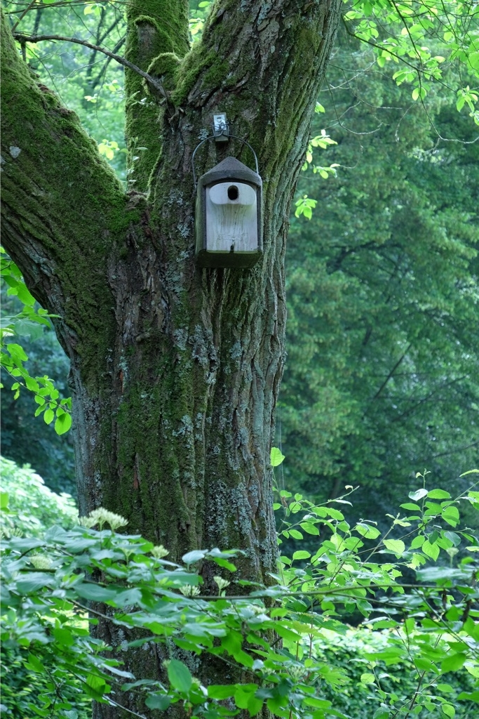 Freilichtmuseum Hagen