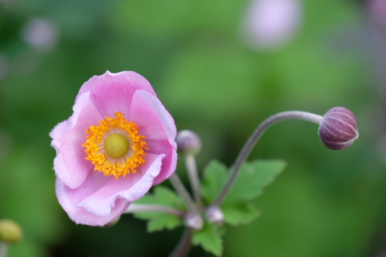 Warum Dankbarkeit immer eine gute Idee ist