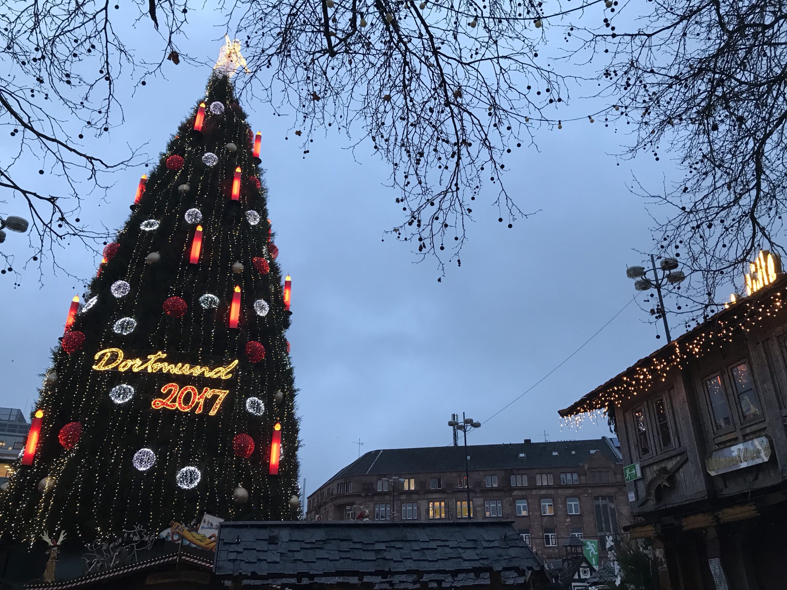 Weihnachten: Der große Weihnachtsbaum in Dortmund