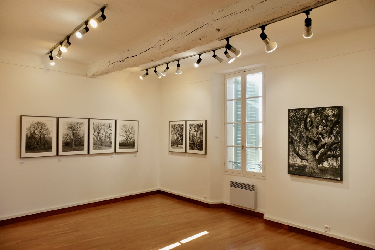 Der Zauber der Kunst – Mein Besuch im Fotografie-Museum in Mougins