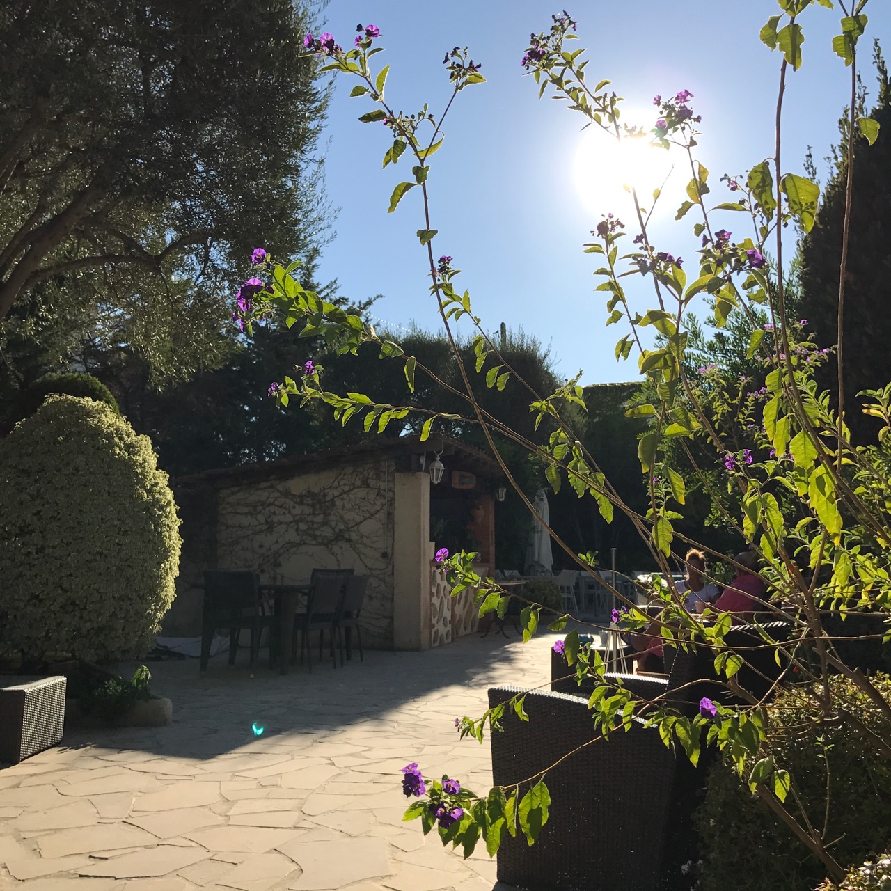 Antibes: Hotel Beau Site