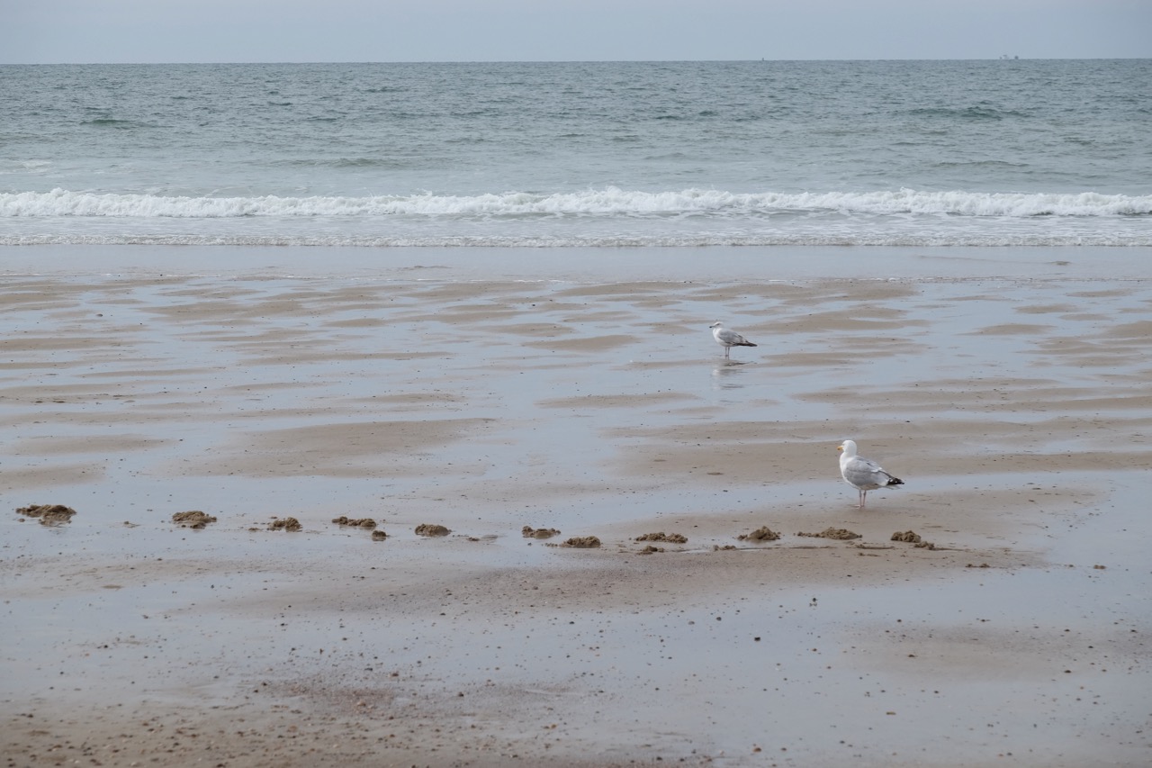 Meine Mission für mehr Spontanität im Leben