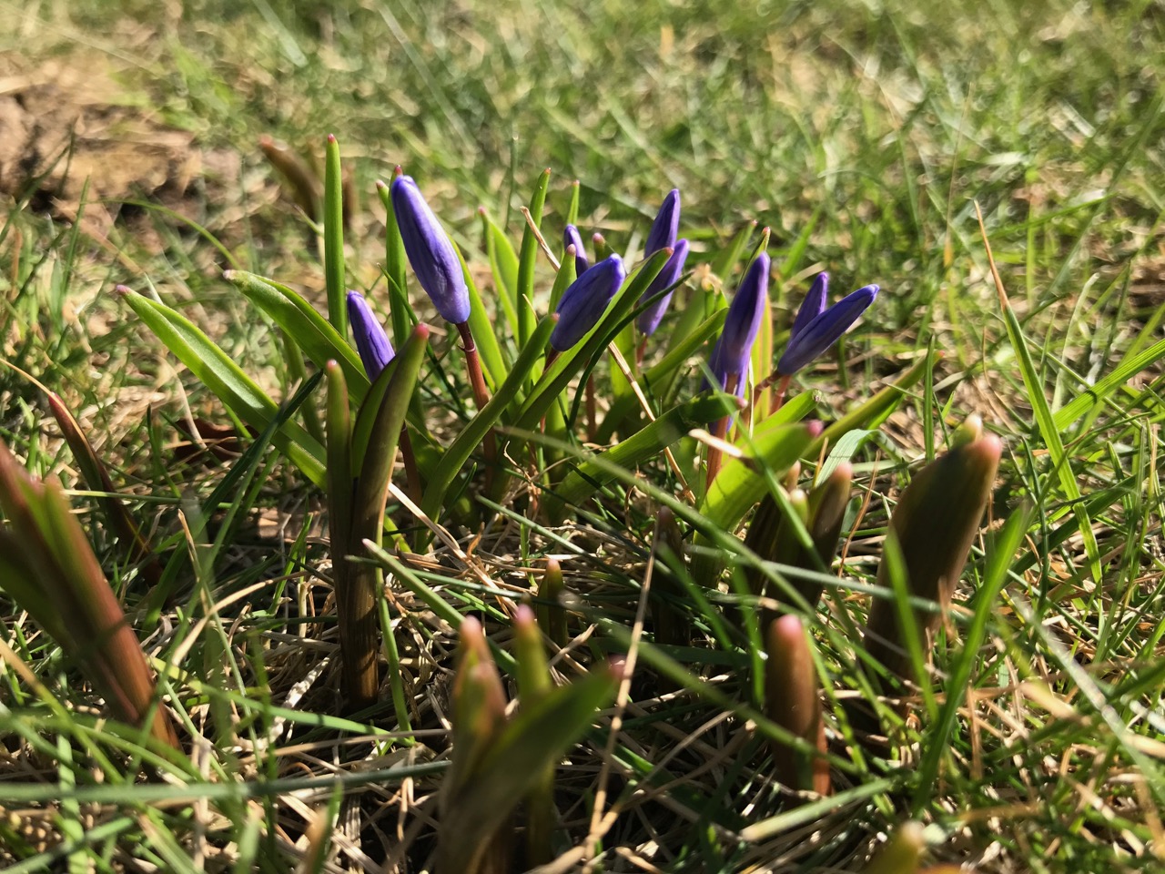 Frühling