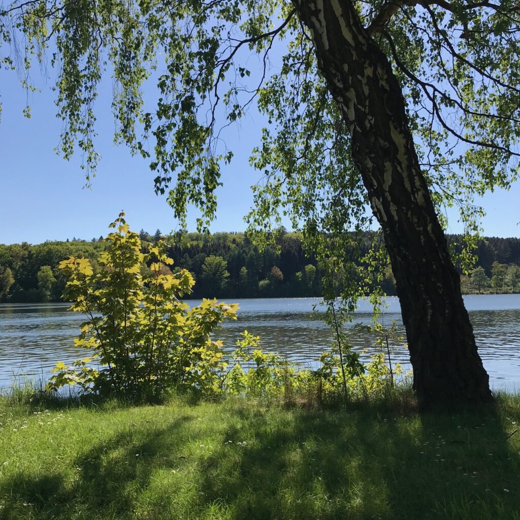 Uferlos: Blick auf den Möhnesee