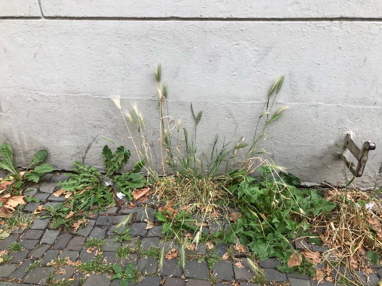 Die Welt mit Kinderaugen