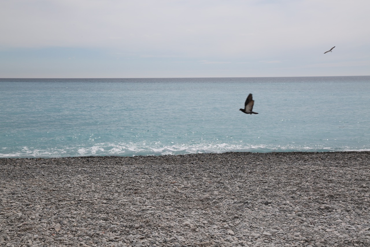 Fünf Fragen am Fünften