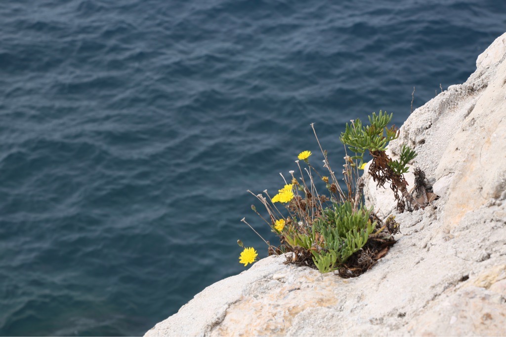 Fünf Fragen am Fünften