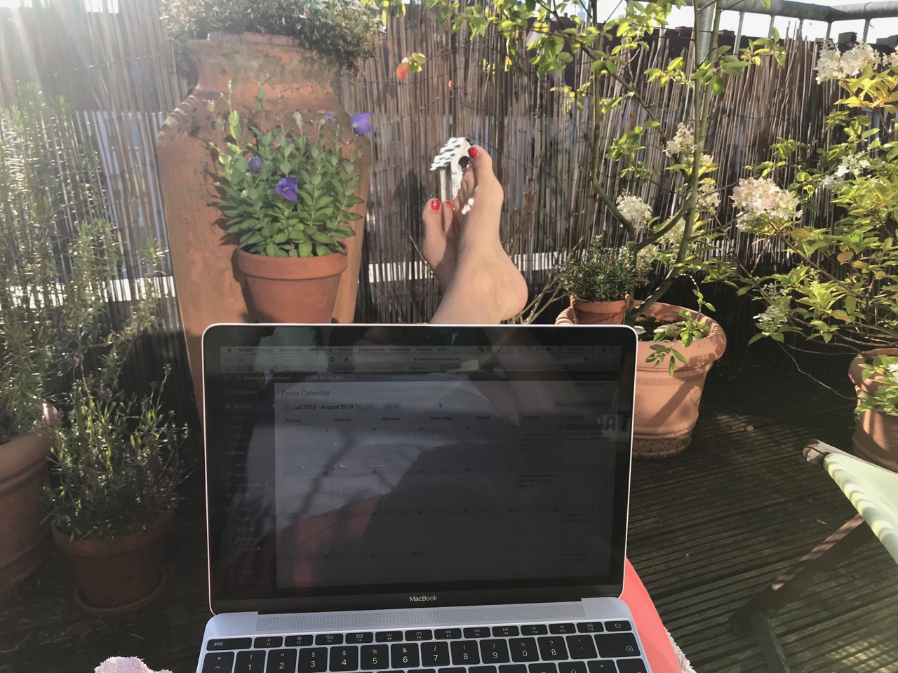 Morgen mit Laptop auf der Terrasse