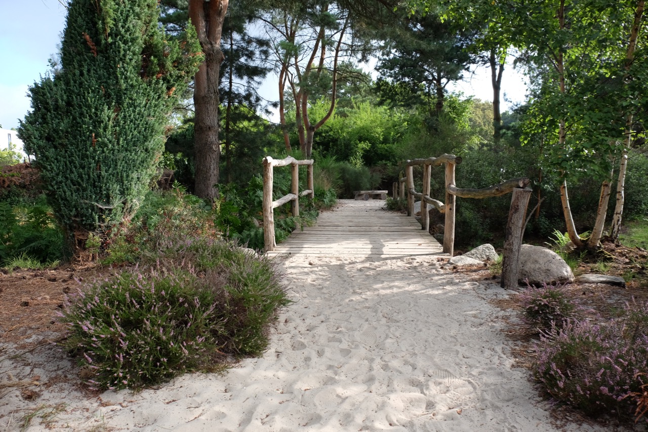 Heidelandschaft: Sandweg über eine hölzerne Brücke