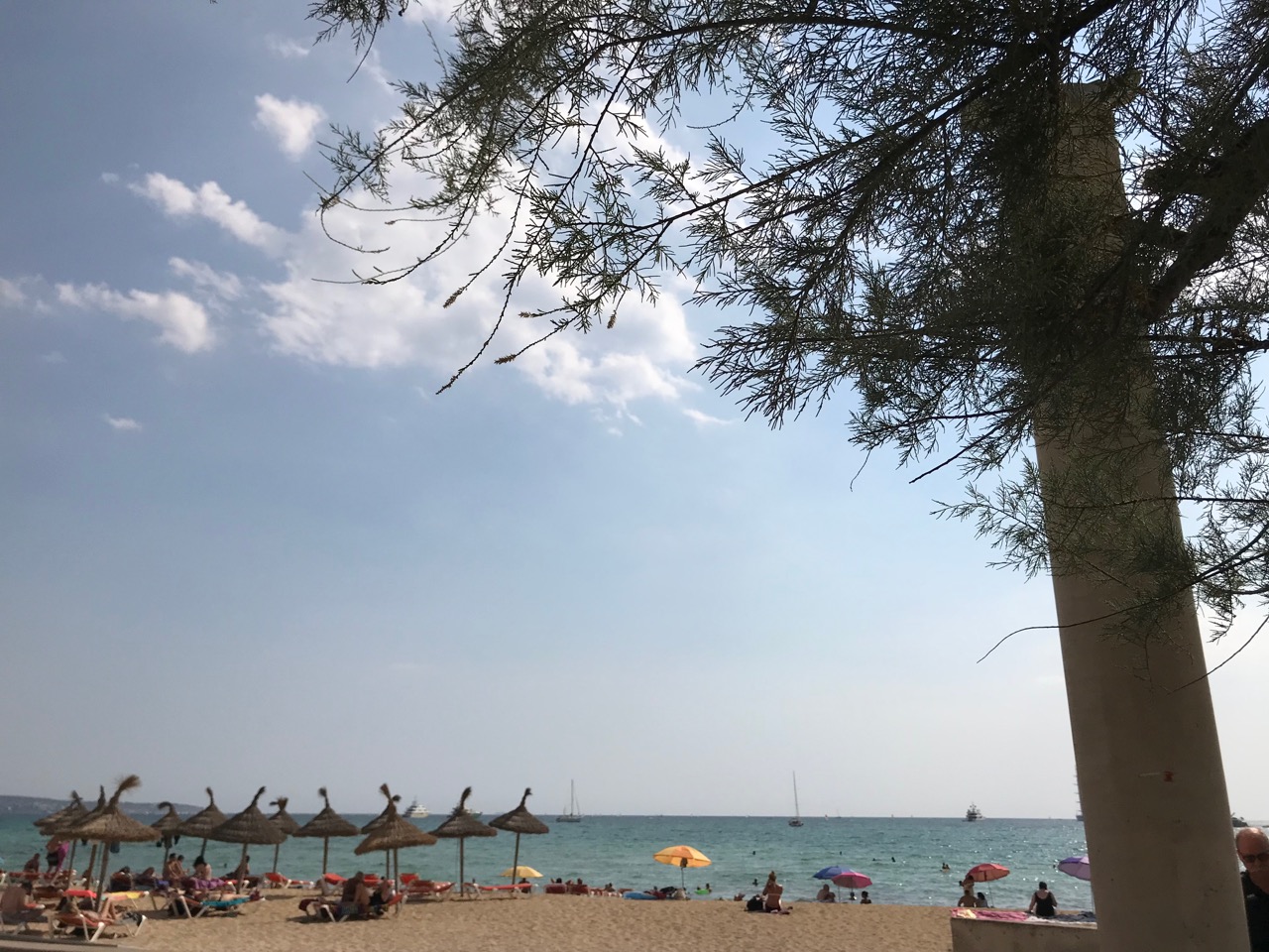 Wann hast du zum letzten Mal etwas zum ersten Mal getan?