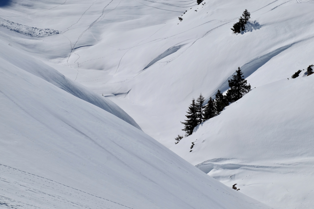 Frohe Weihnachten: Schnee und Tannen