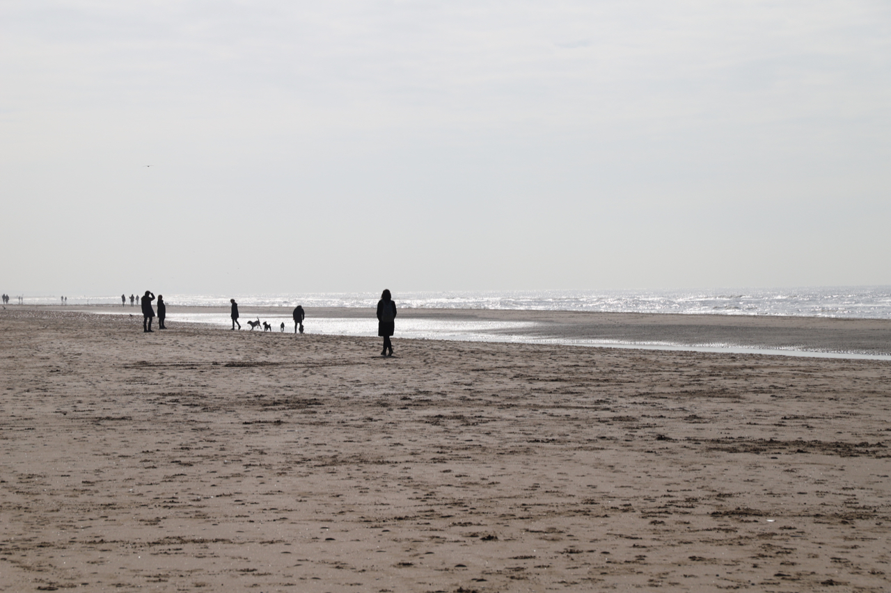 Noordwijk: Strand mit Menschen und Hunden