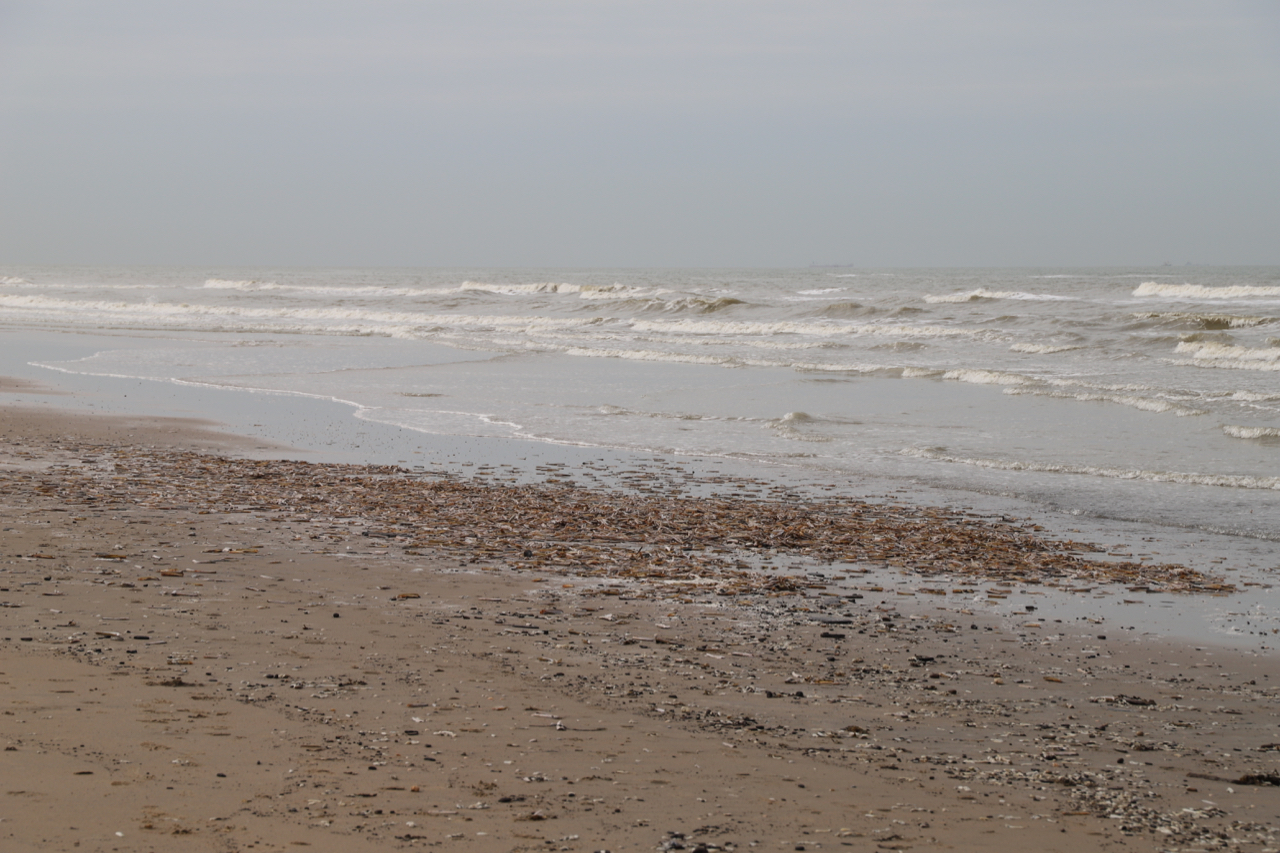 Noor…</p></div>

<div style=