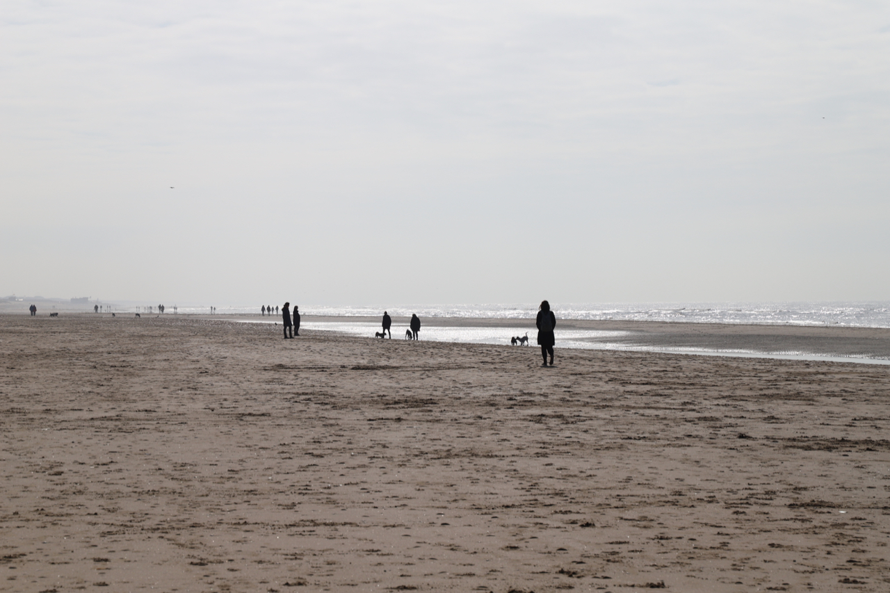 Noordwijk Strand: Menschen und Hunde