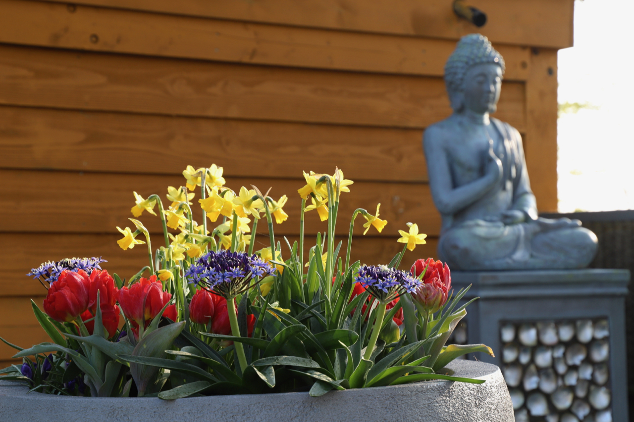 Keukenhof: Pflanzschale mit Buddha im Hintergrund