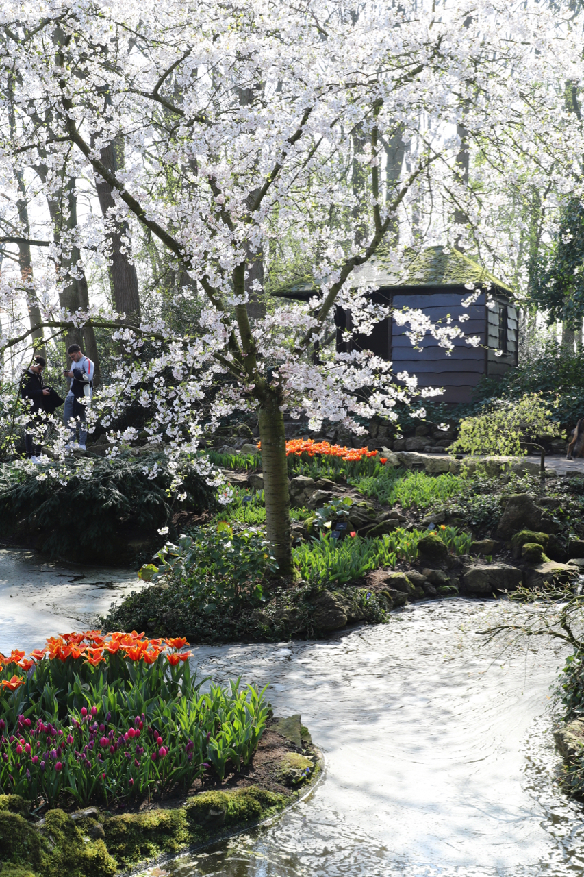 Keukenhof