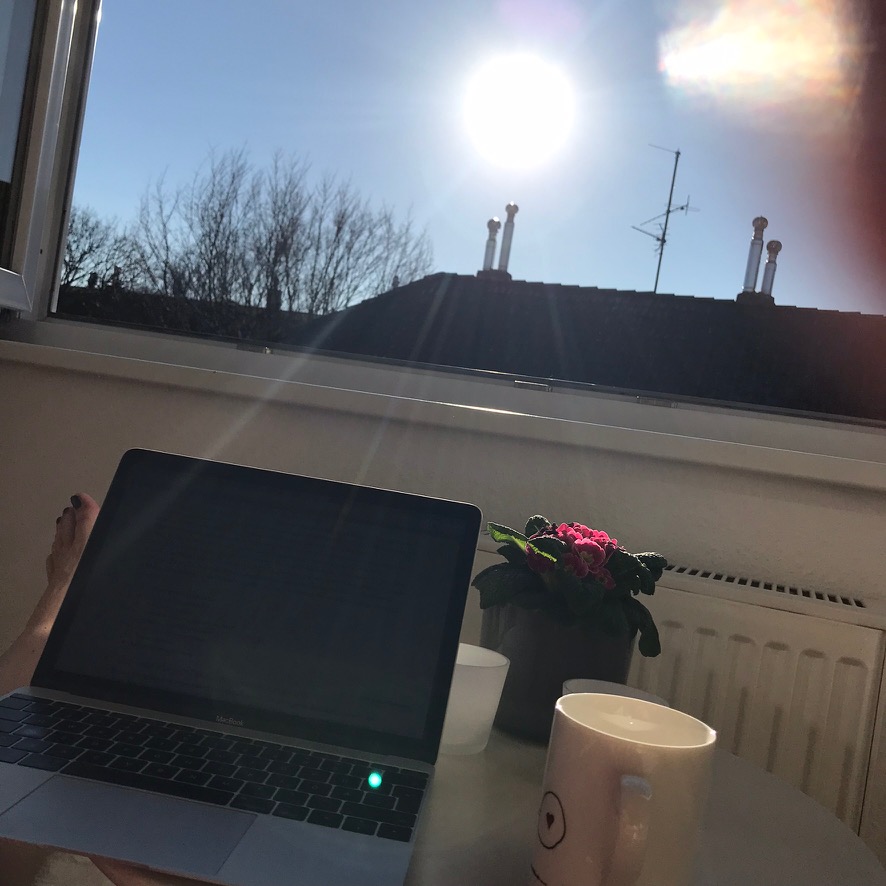 Küchenfensterbräunen