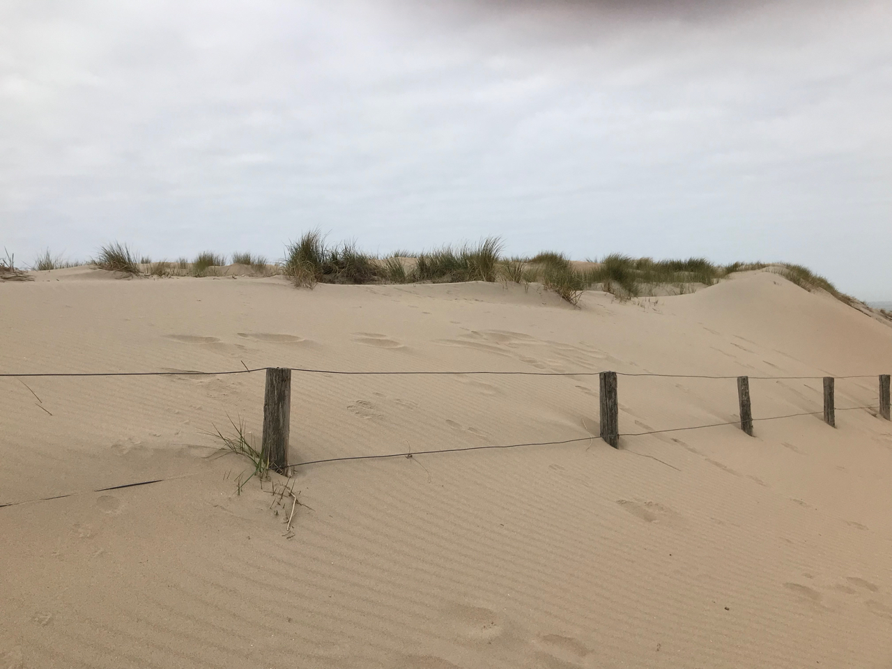 Noordwijk Strand: Düne