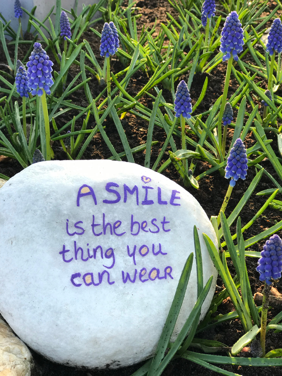 Keukenhof: Stein mit Spruch "A smile is the best thing you can wear" zwischen Krokussen