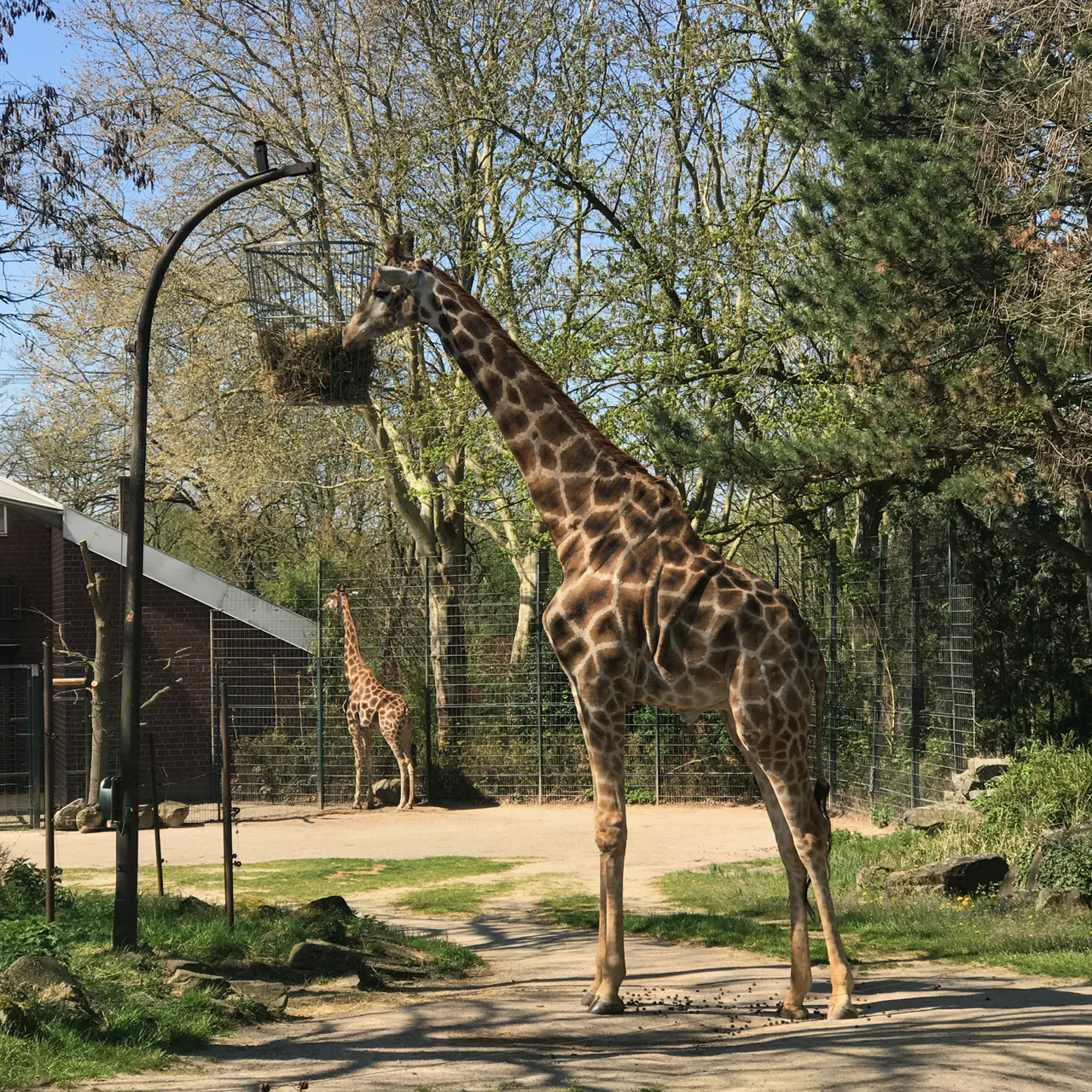 Zoo Dortmund