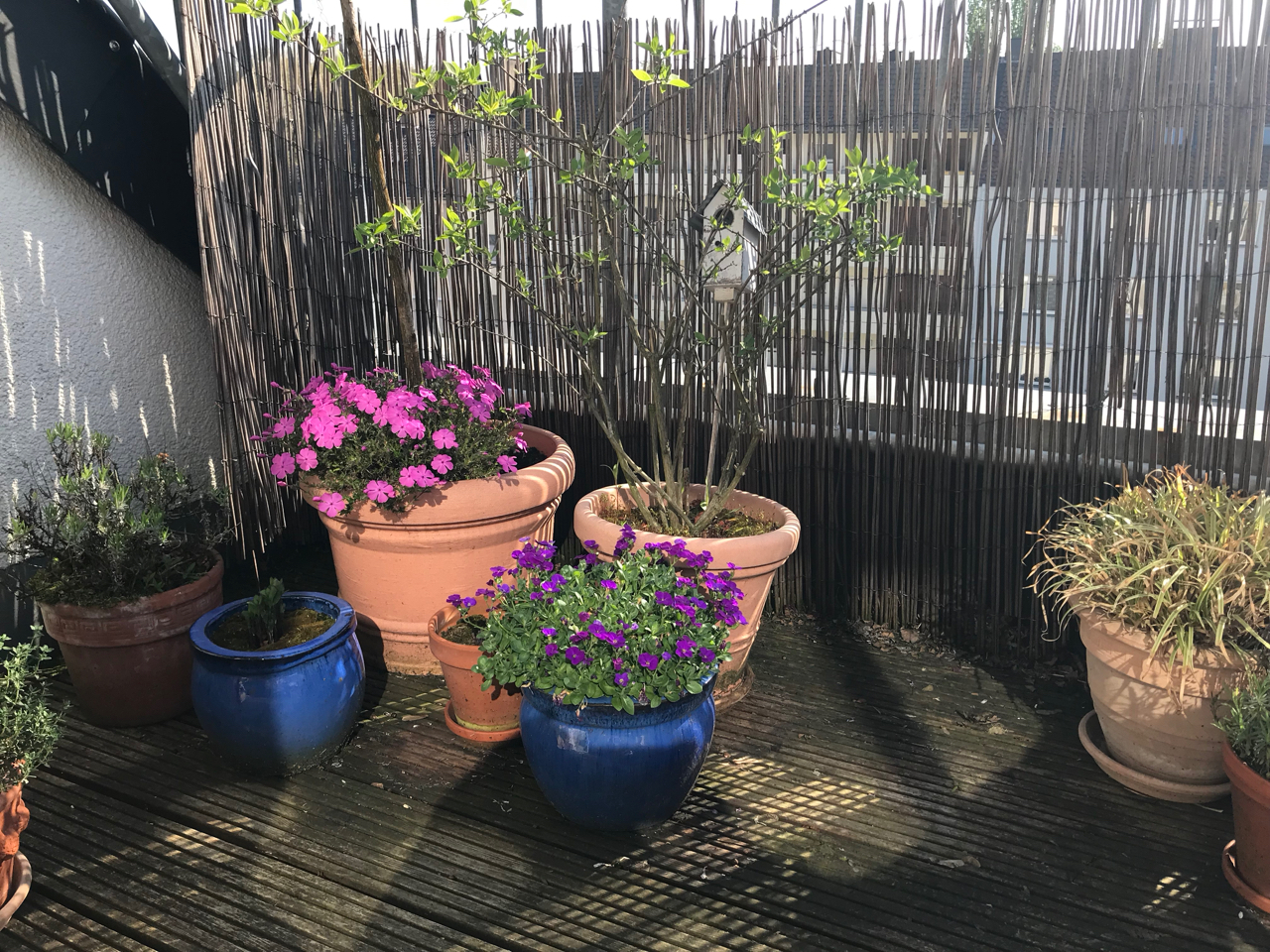 Die Terrasse erwacht zum Leben