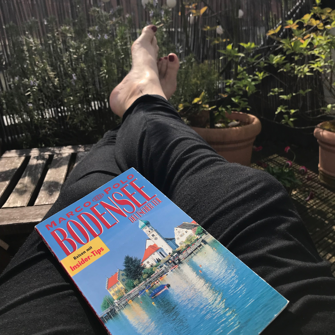 Reiseführer Bodensee