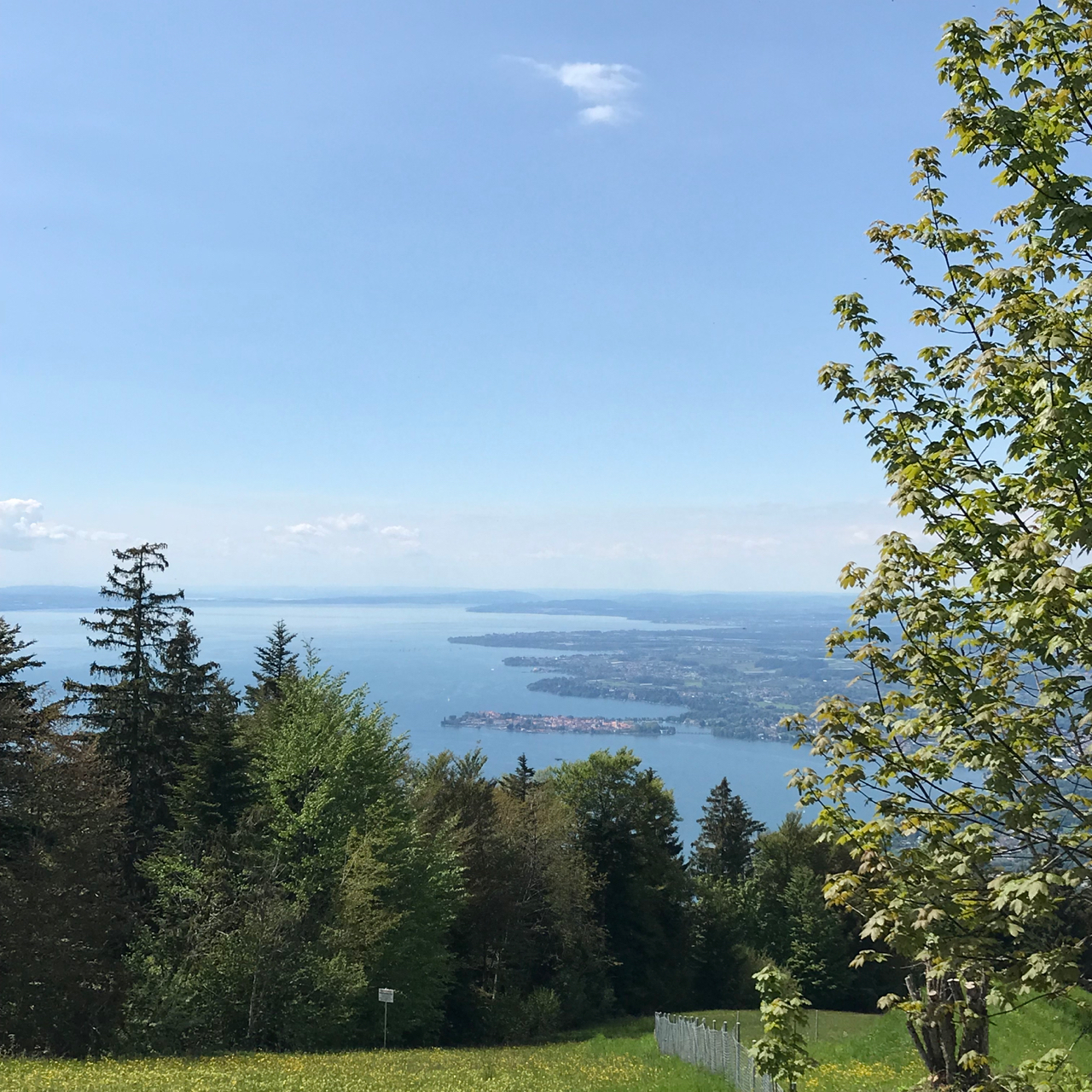 Pfänder: Blick auf den Bodensee