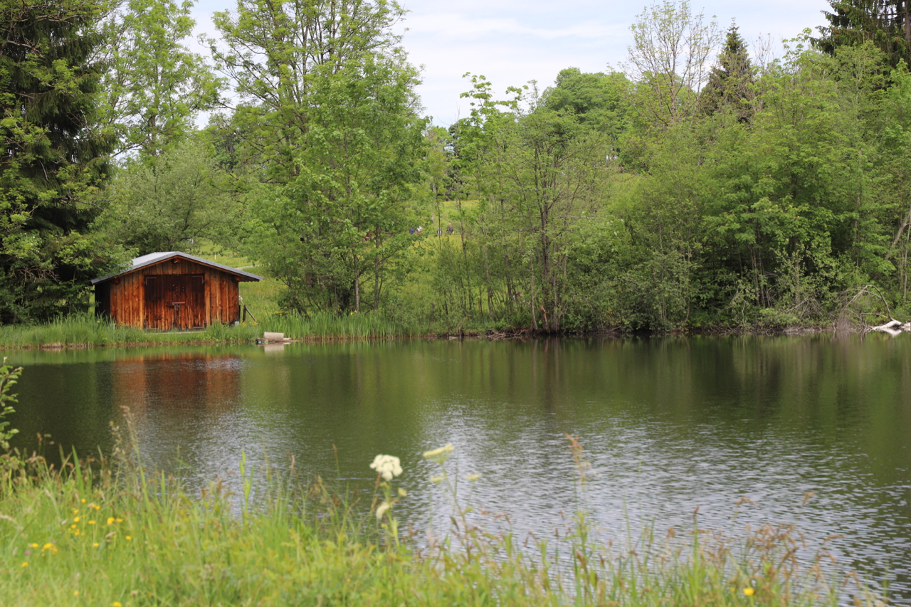 Oberstdorf Moorweiher