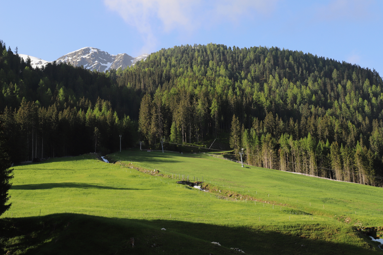 Ochsengarten Gasthof Burkert: Ausblick