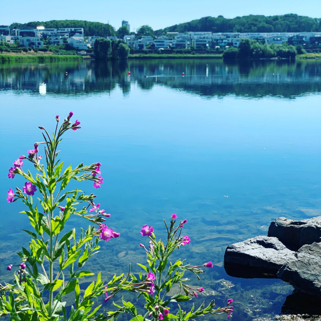 Morgen am Phoenixsee