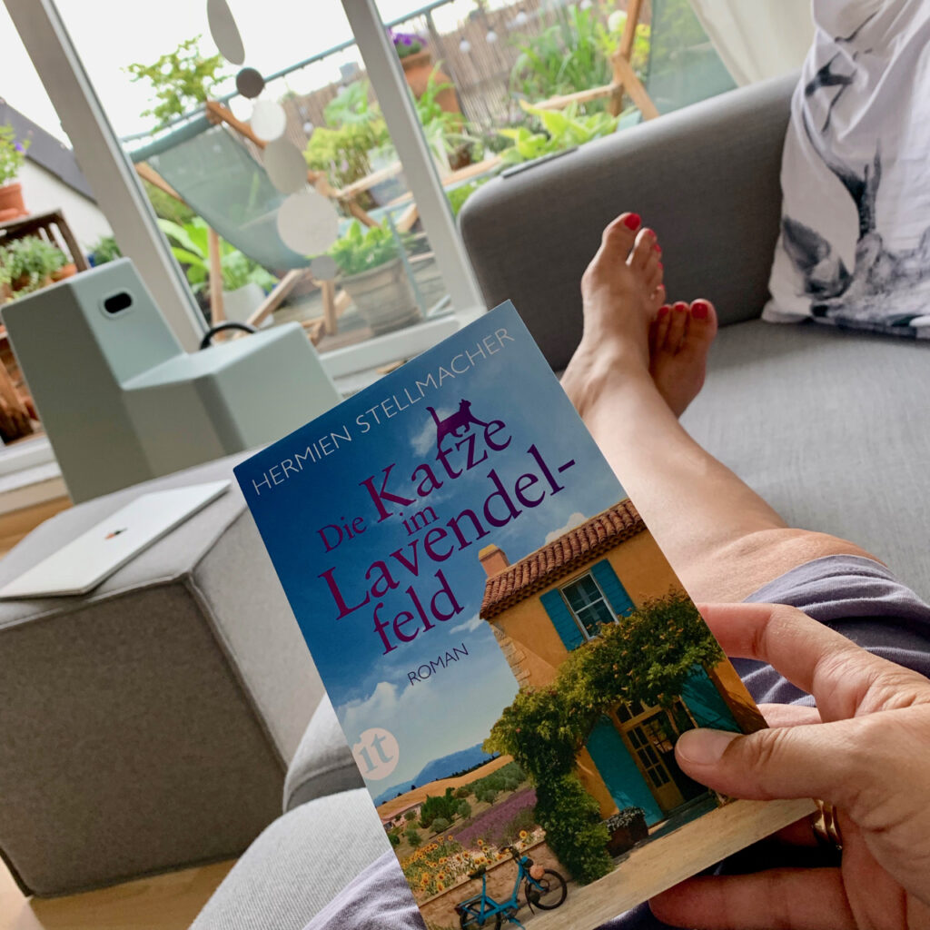 Die Katze im Lavendelfeld