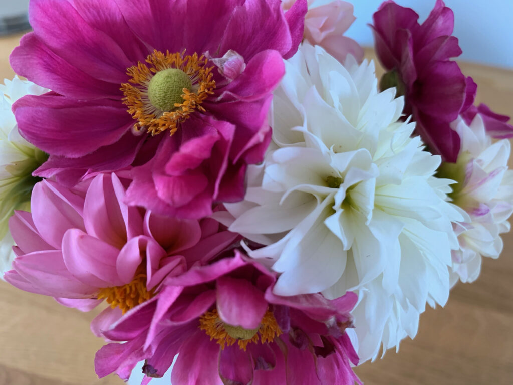 Blumen aus dem Garten