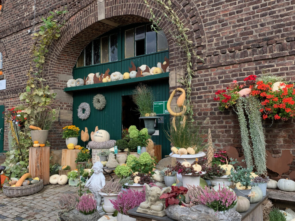 Kürbishof: Scheunentor mit vielen Kürbissen und Pflanzen davor