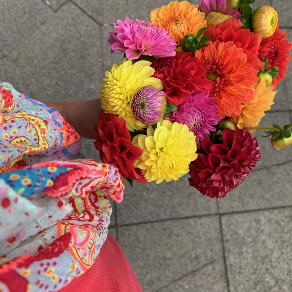 Dahlien vor buntem Schal