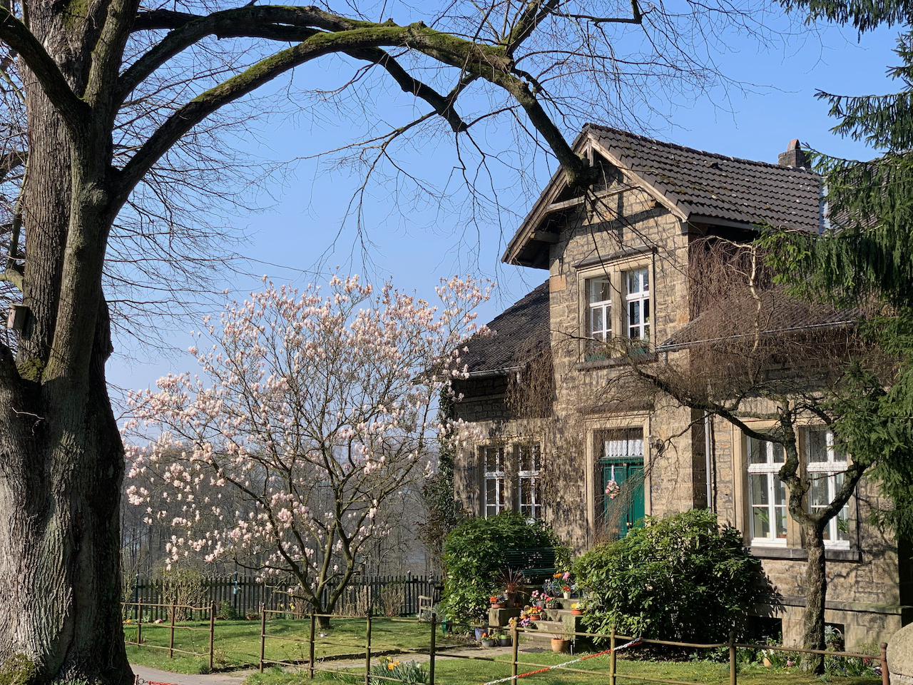 Gut Schede: Wohnhaus mit blühender Magnolie