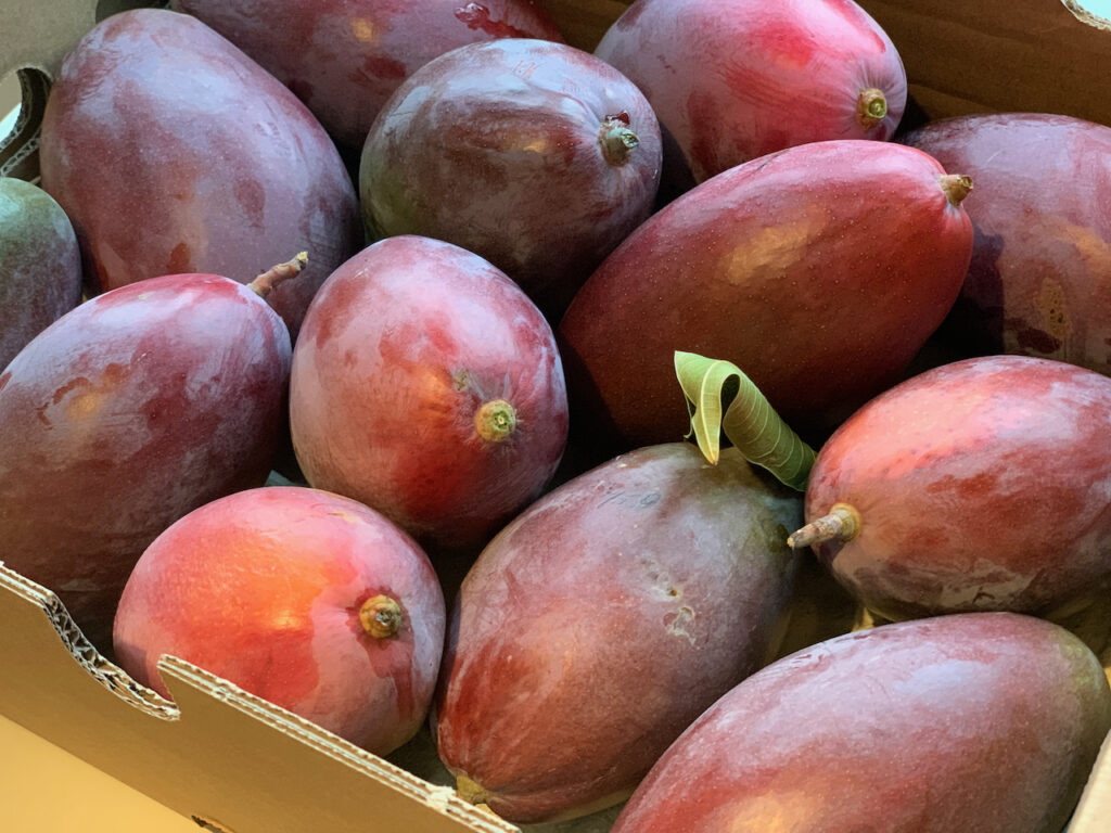 Eine Kiste voller Mangos