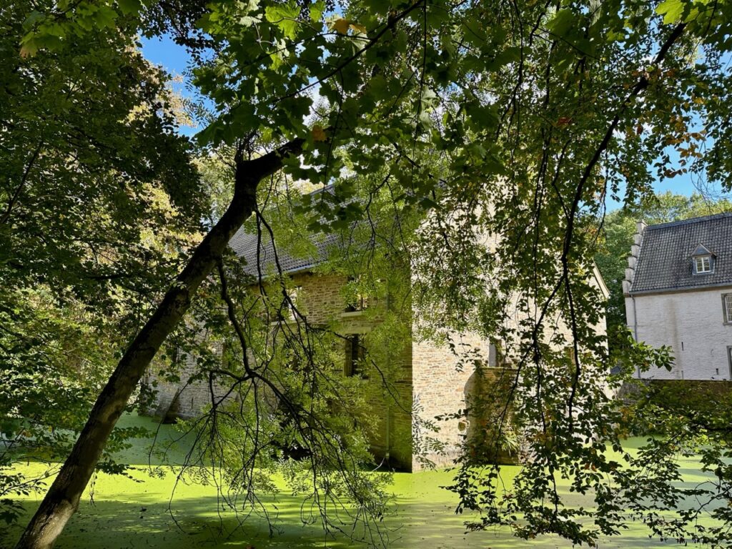 Schloss Werdingen: Im Hintergrund ist das Schloss zu sehen, davor der Burggraben und davor eine Buch, deren Äste weit zum Teich runter hängen