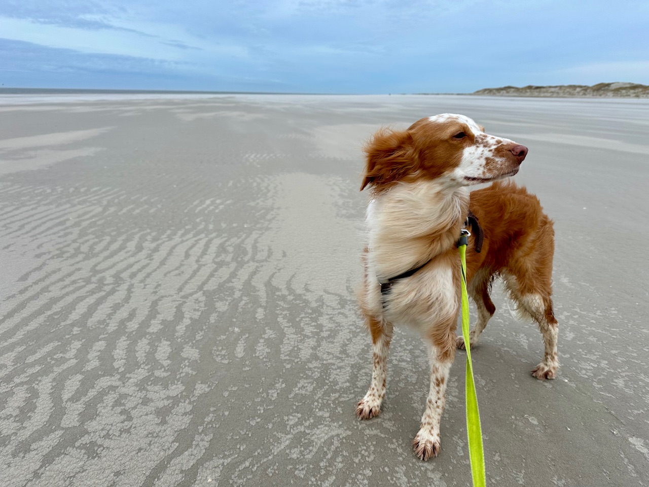 24 in 2024 – Meine Pläne für dieses Jahr