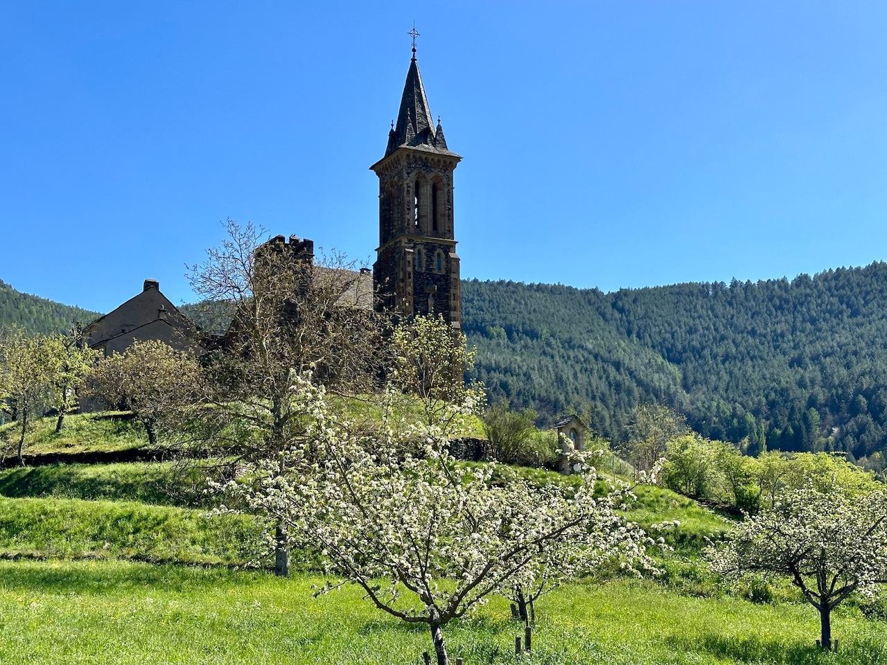 Planänderungen, Heizung und Zuhause-Liebe – Meine Glücksmomente der Woche (27/04/24)