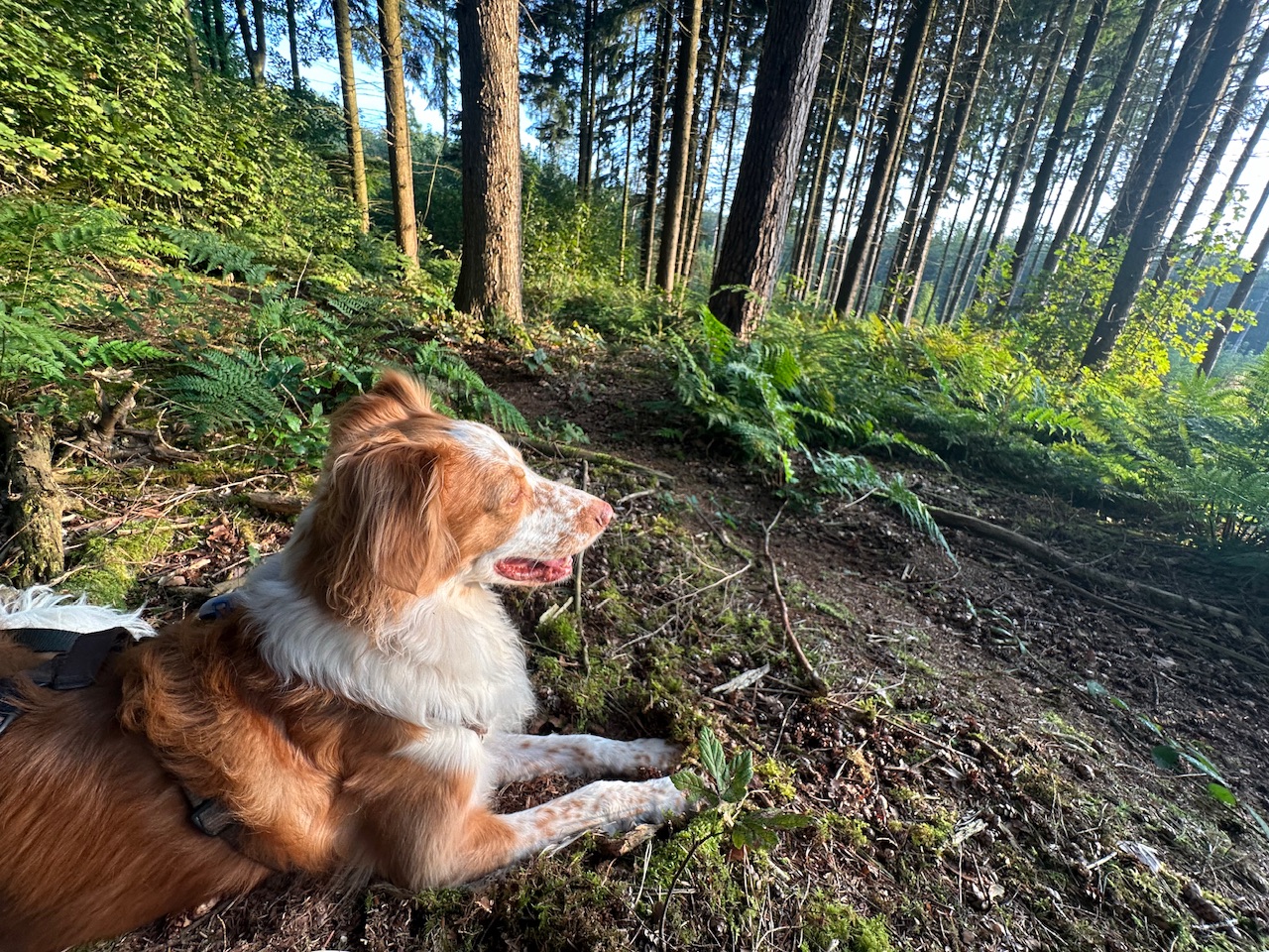 Selfcare, Sonnenaufgang und Sterne – Meine Glücksmomente der Woche (07/09/24)