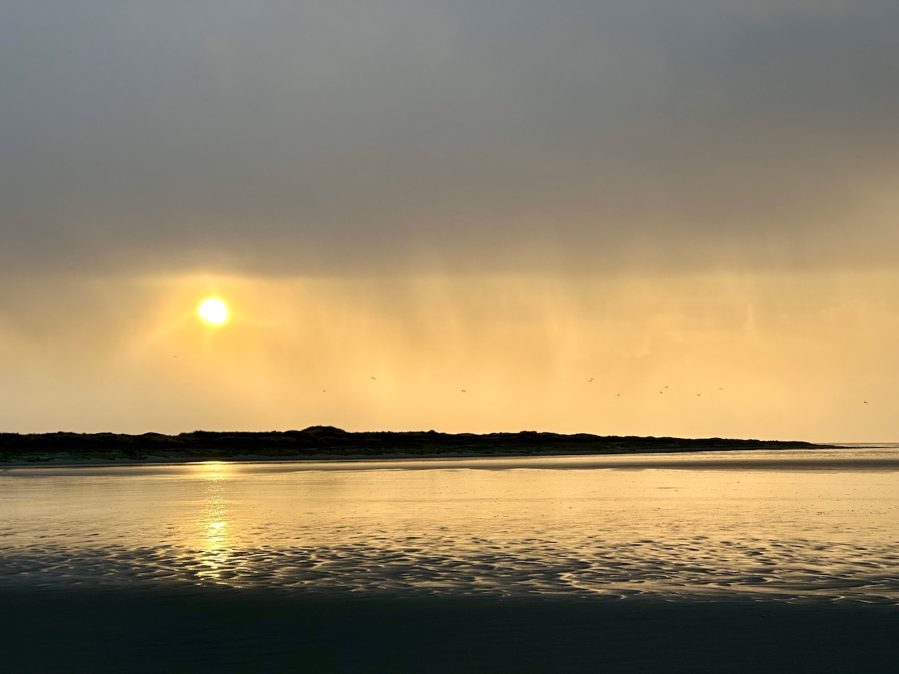 25 in 2025 – Meine Pläne für dieses Jahr