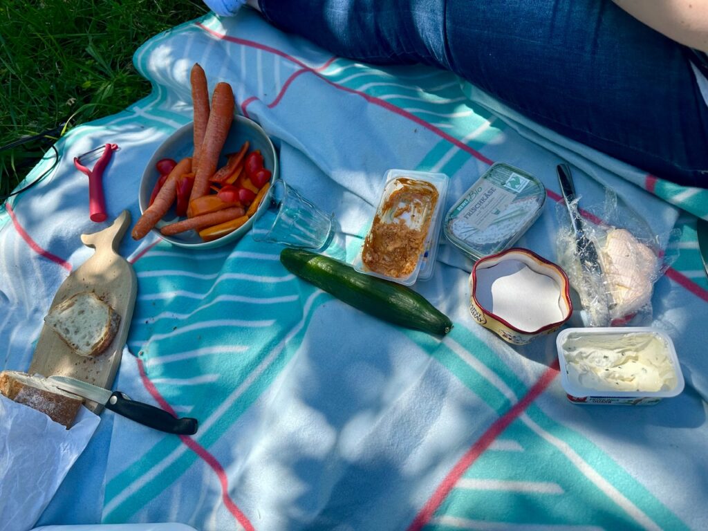 Picknickdecke mit einem Teller mit Gemüstreifen, Aufstrich, Käse und Brot