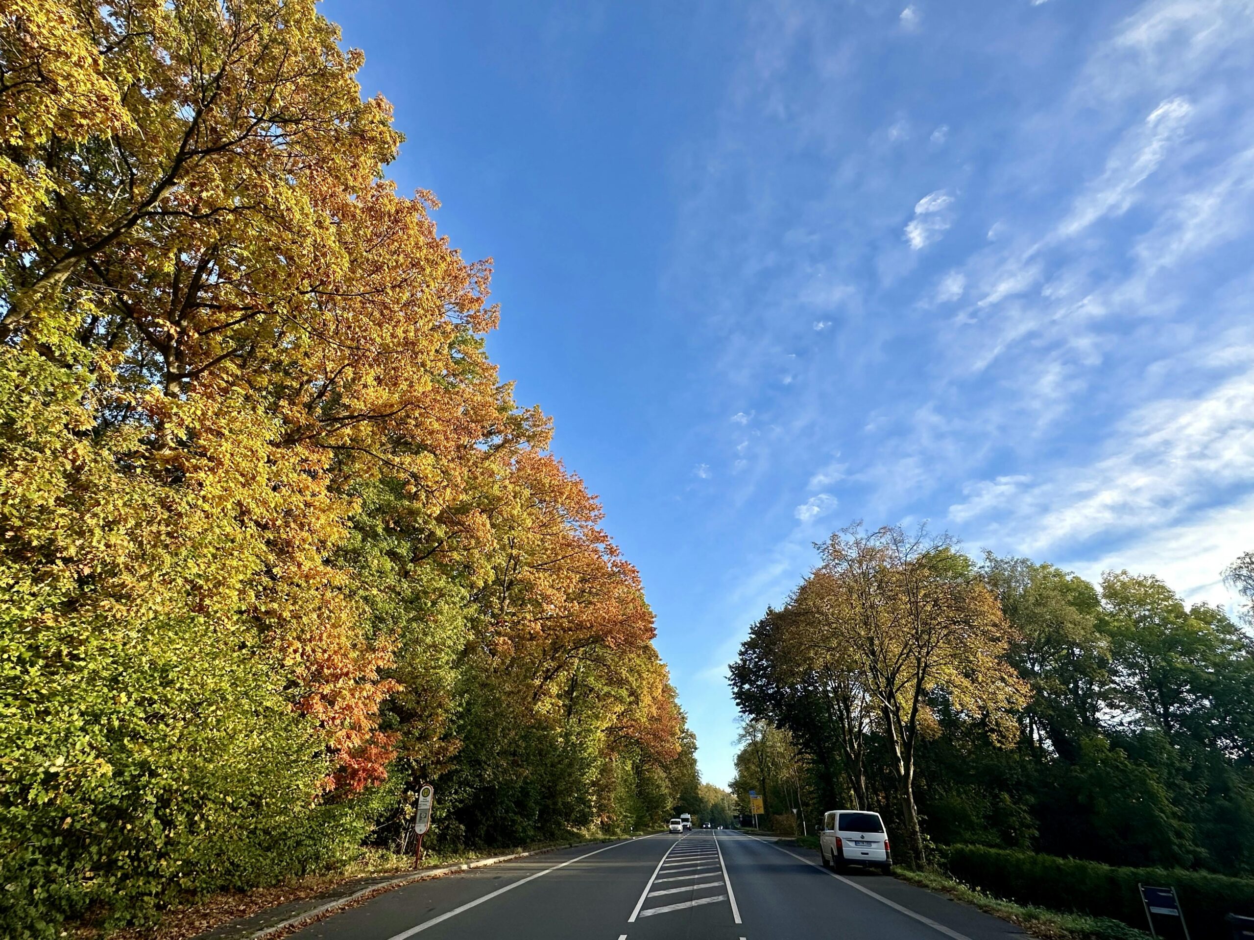 Bunt belaubte und von der Sonne angestrahlte Bäume an einer Straße. Oben drüber blauer Himmel.