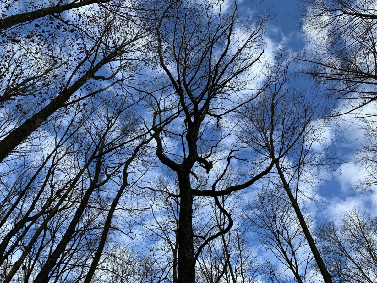 Stille Zeit für dich zum Jahreswechsel – Sperrnächte & Raunächte